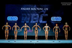 FIGURE МАСТЕРА +35